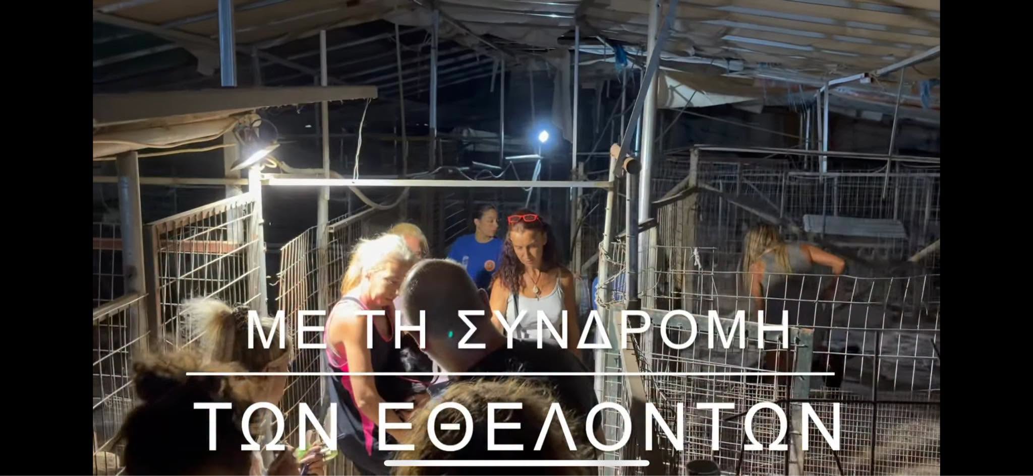 τρητ